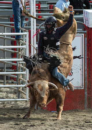 Cloverdale Rodeo-0389