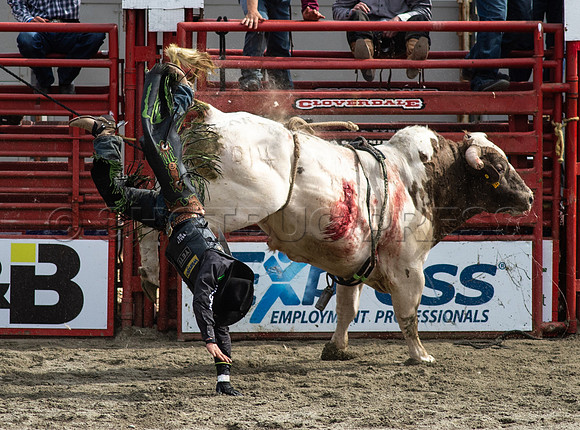 Cloverdale Rodeo-0461