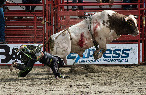Cloverdale Rodeo-0463