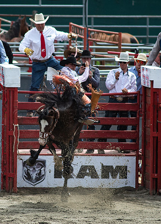 Cloverdale Rodeo-8464