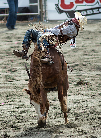 Cloverdale Rodeo-8682