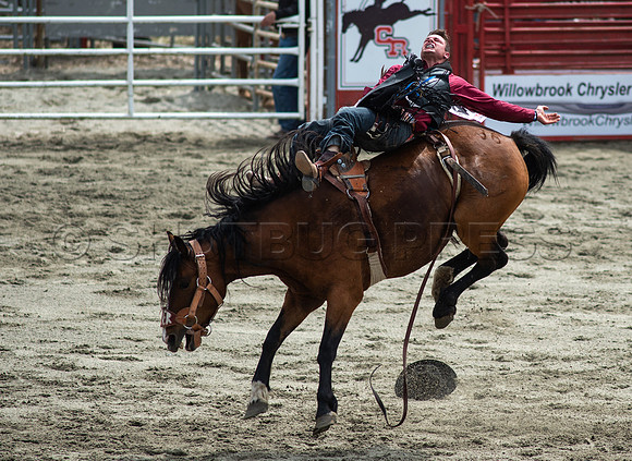 Cloverdale Rodeo-8733