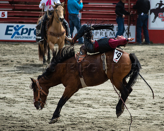 Cloverdale Rodeo-8742