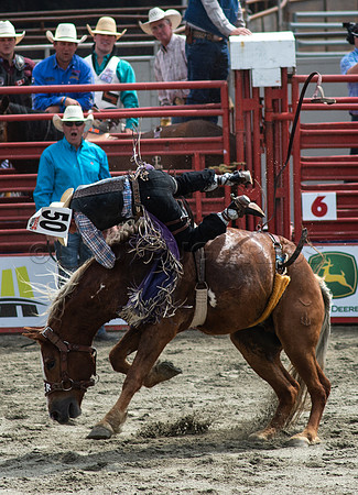 Cloverdale Rodeo-8819