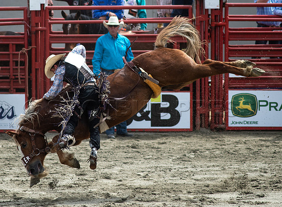 Cloverdale Rodeo-8823