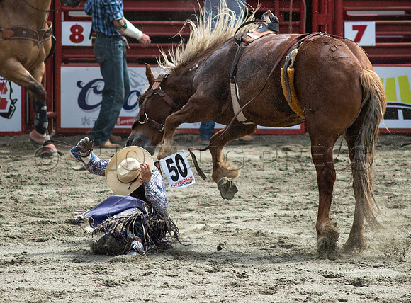 Cloverdale Rodeo-8827
