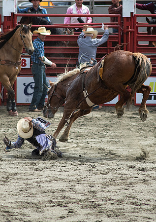 Cloverdale Rodeo-8828