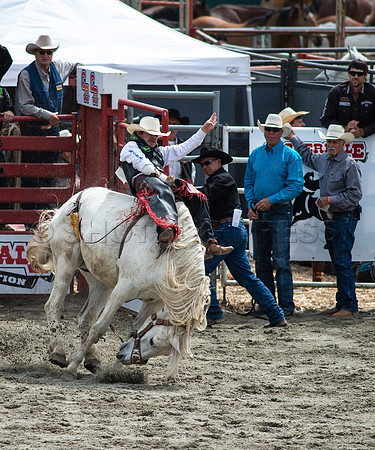 Cloverdale Rodeo-8945