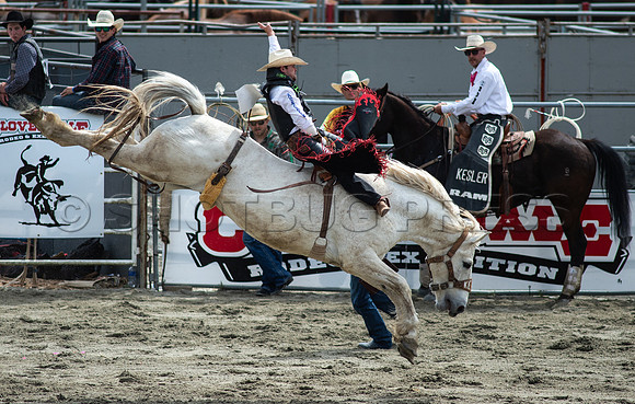 Cloverdale Rodeo-8955