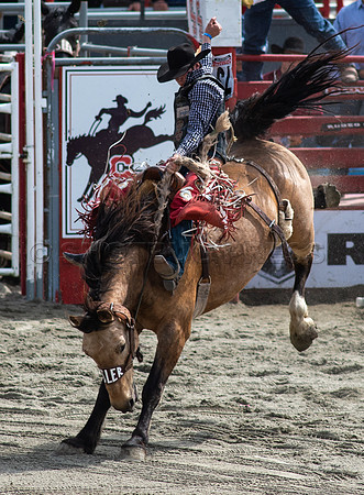 Cloverdale Rodeo-9311
