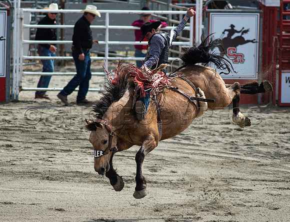 Cloverdale Rodeo-9314