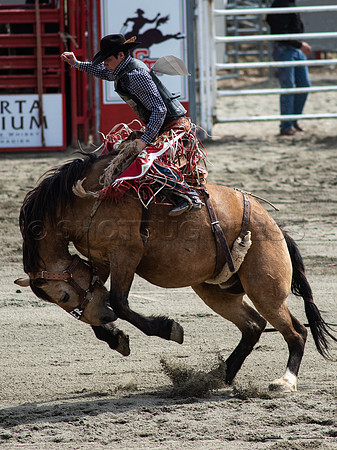 Cloverdale Rodeo-9321