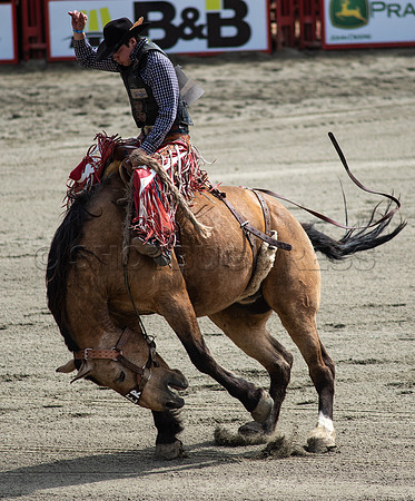 Cloverdale Rodeo-9334