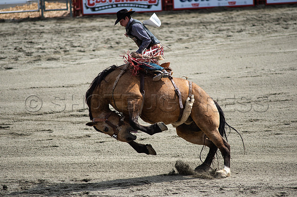 Cloverdale Rodeo-9341