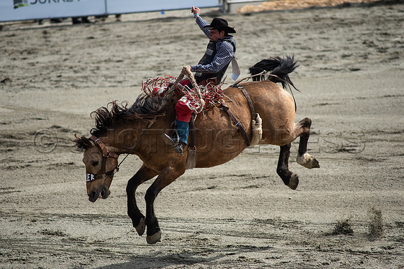 Cloverdale Rodeo-9346