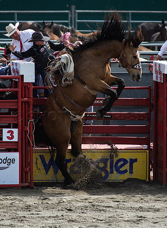 Cloverdale Rodeo-9361