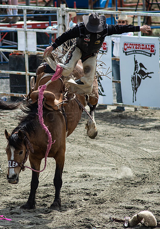 Cloverdale Rodeo-9430