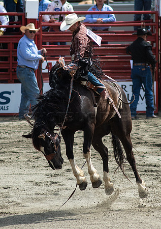 Cloverdale Rodeo-9490