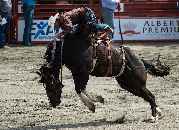 Cloverdale Rodeo-9495
