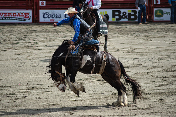 Cloverdale Rodeo-9529