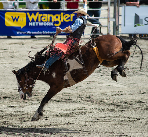 Cloverdale Rodeo-9640