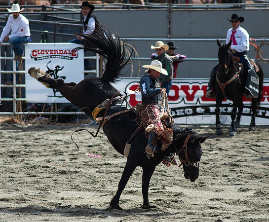 Cloverdale Rodeo-9687