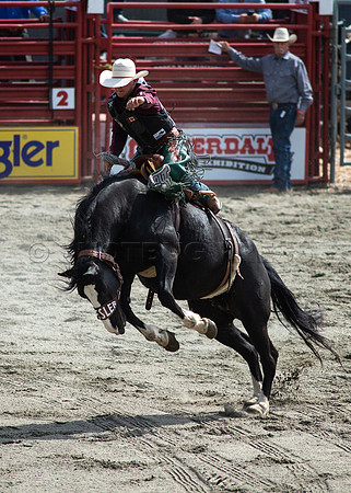 Cloverdale Rodeo-9721