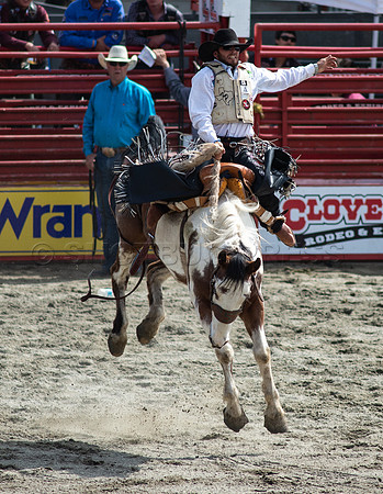 Cloverdale Rodeo-9789