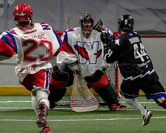 Wes Shaw New West Salmonbellies at Langley Thunder  20230818 -40837