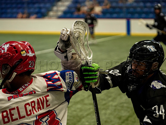 Wes Shaw New West Salmonbellies at Langley Thunder  20230818 -40853