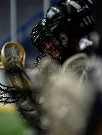 Wes Shaw New West Salmonbellies at Langley Thunder  20230818 -40809