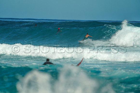 Wes Shaw Surfing 20240910 -216673