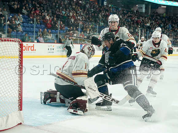 Wes Shaw Victoria Royals slam thhe Giants 6-3 20241214 -256363