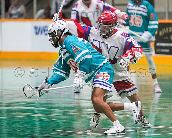 Wes Shaw Six Nations Chiefs at New Westminster Salmonbellies Game #4  20230912 -48699