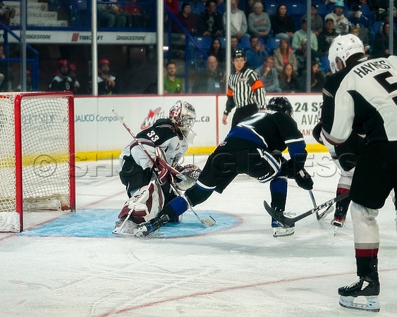Wes Shaw Victoria Royals at Vancouver Giants  20230922 -55207