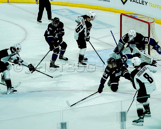 Wes Shaw Victoria Royals at Vancouver Giants  20230922 -55458