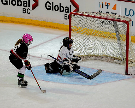Wes Shaw Victoria Royals at Vancouver Giants  20230922 -55562