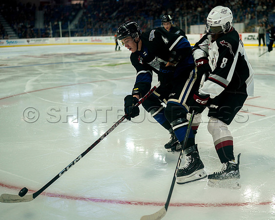 Wes Shaw Victoria Royals at Vancouver Giants  20230922 -55690