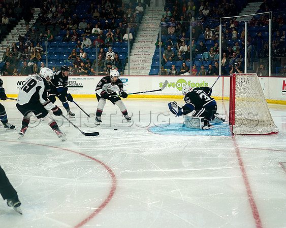 Wes Shaw Victoria Royals at Vancouver Giants  20230922 -55713