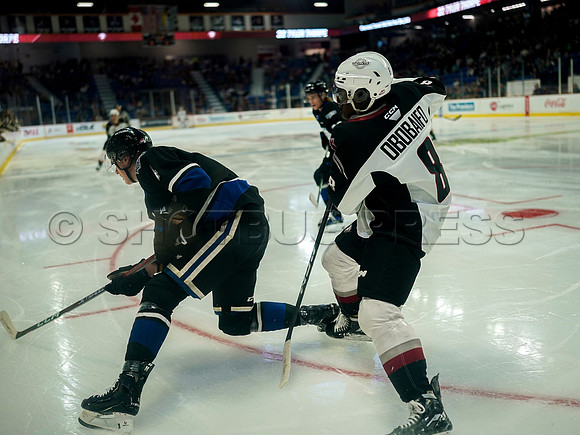 Wes Shaw Victoria Royals at Vancouver Giants  20230922 -55695
