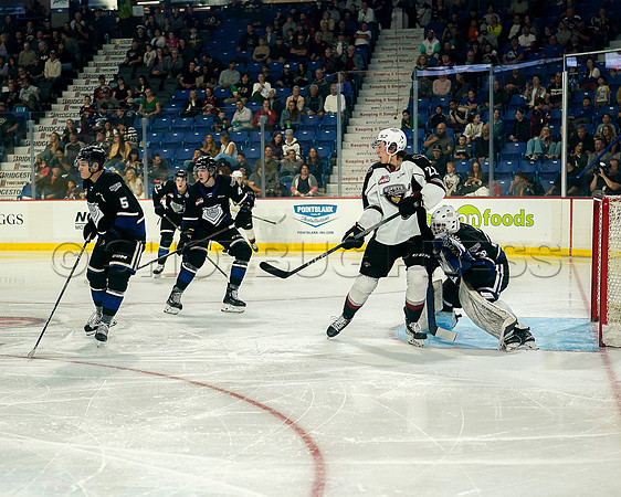 Wes Shaw Victoria Royals at Vancouver Giants  20230922 -55805