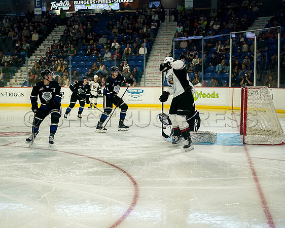 Wes Shaw Victoria Royals at Vancouver Giants  20230922 -55810