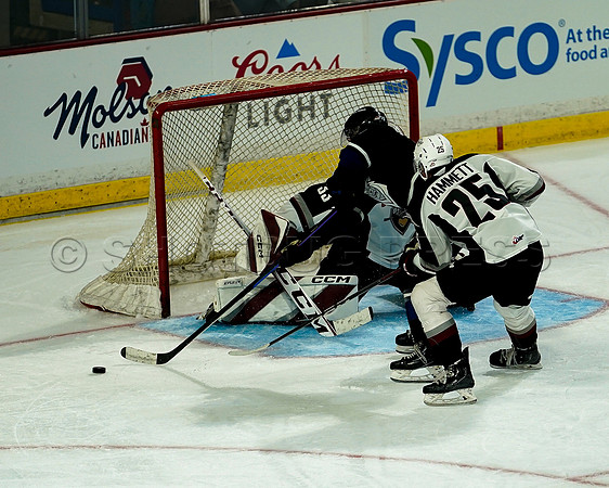 Wes Shaw Victoria Royals at Vancouver Giants  20230922 -56028