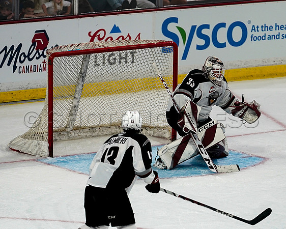 Wes Shaw Victoria Royals at Vancouver Giants  20230922 -56042