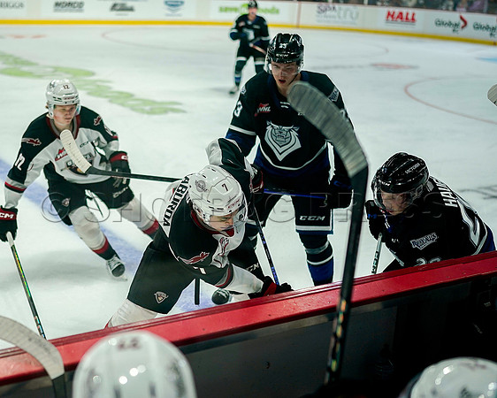 Wes Shaw Victoria Royals at Vancouver Giants  20230922 -56059