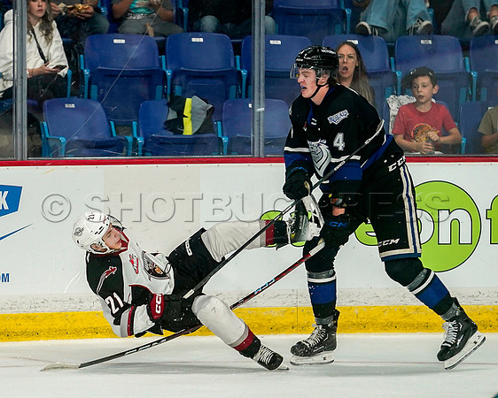 Wes Shaw Victoria Royals at Vancouver Giants  20230922 -56138