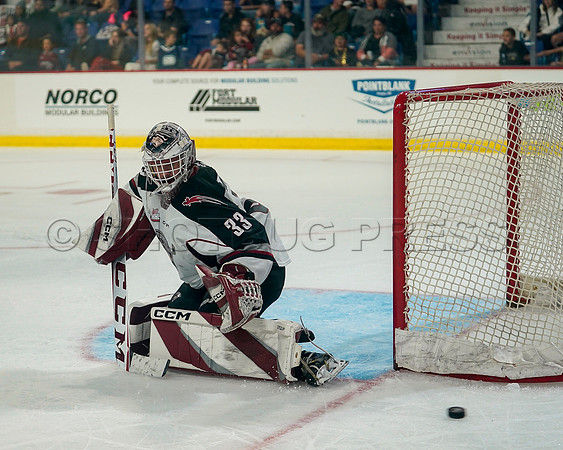 Wes Shaw Victoria Royals at Vancouver Giants  20230922 -56613