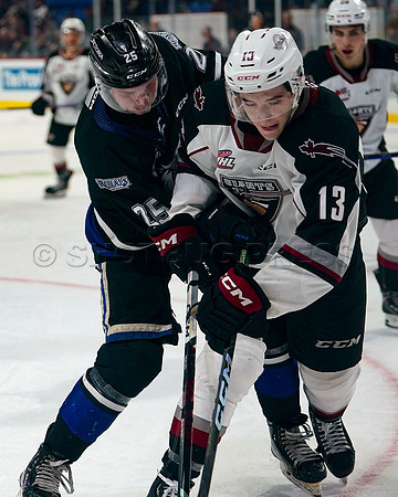 Wes Shaw Victoria Royals at Vancouver Giants  20230922 -56776