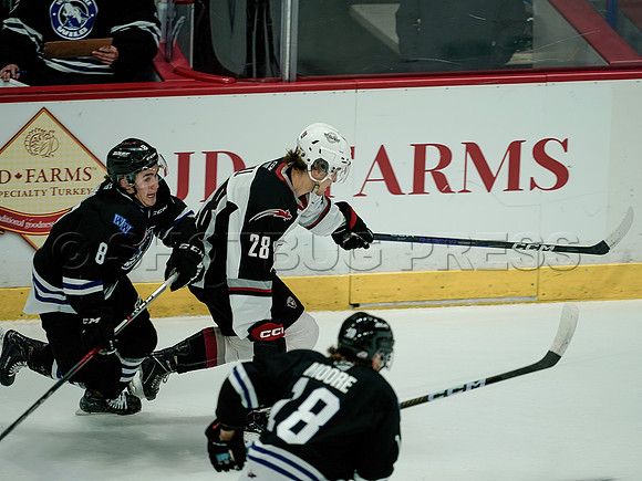 Wes_Shaw_Wenanchee Wild at Vancouver Giants - 75180