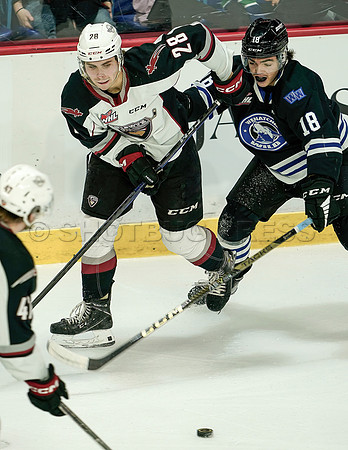 Wes_Shaw_Wenanchee Wild at Vancouver Giants - 75181